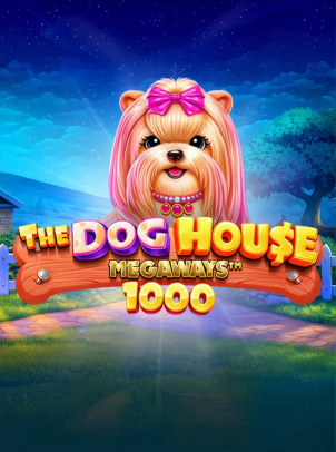 vswaysdh1000